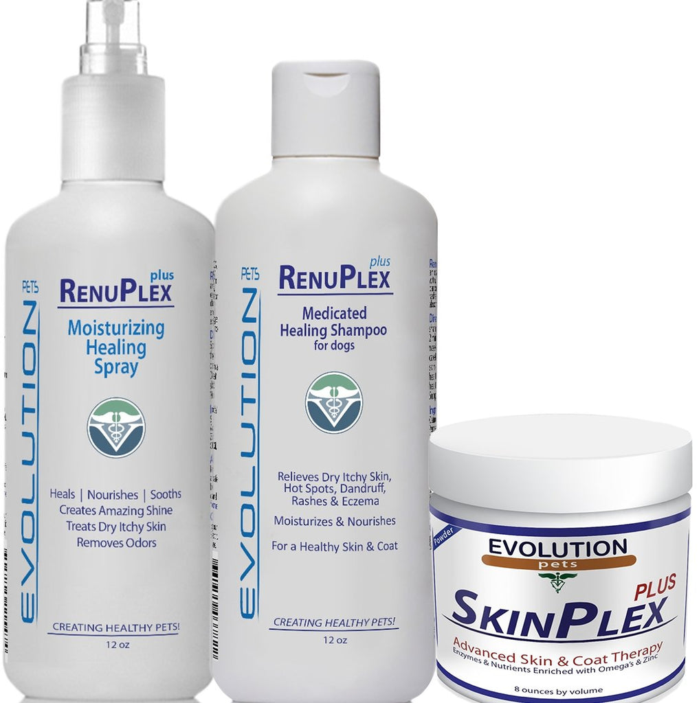 RenuPlex PLUS Complete Healing Kit - Evolution Pets
